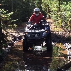 Meet your Posher, Pauline